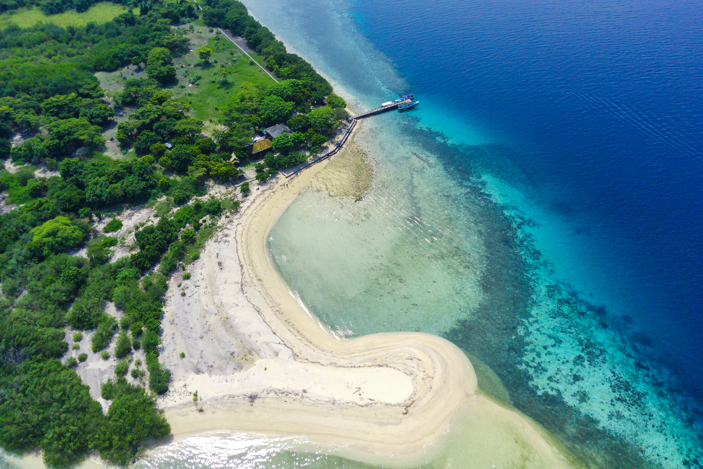 menjangan island (2).webp